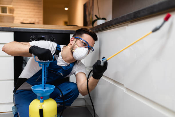 Best Pest Inspection Near Me  in Effort, PA