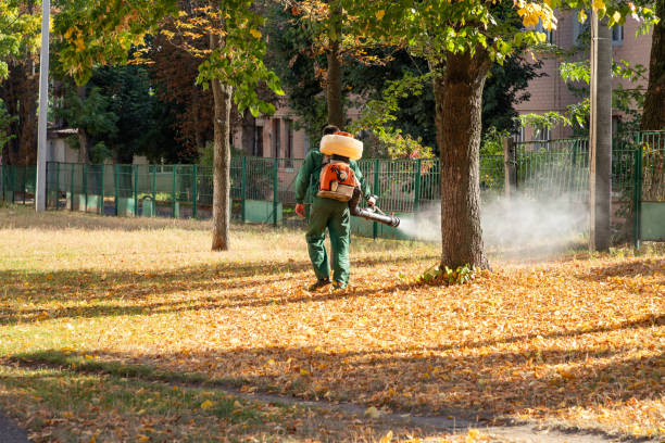 Pest Control Cost in Effort, PA