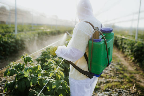 Best Exterminator Services  in Effort, PA